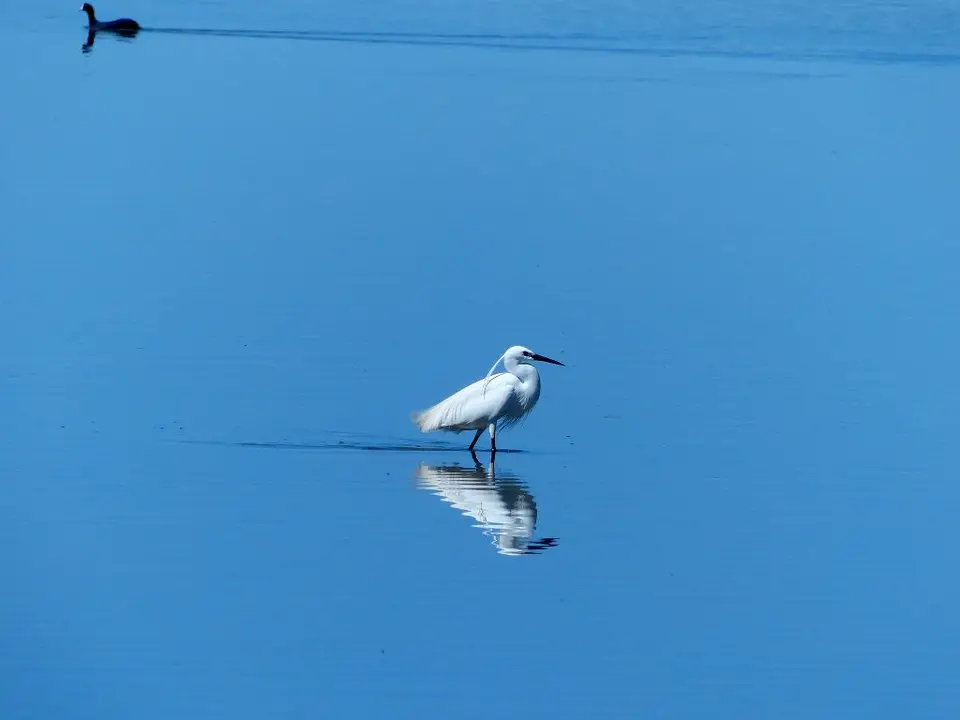 h1c05b17.jpg