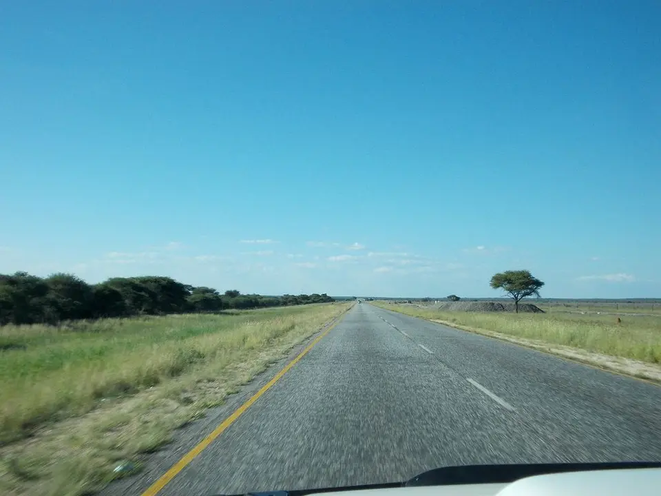 h226e99c.jpg
