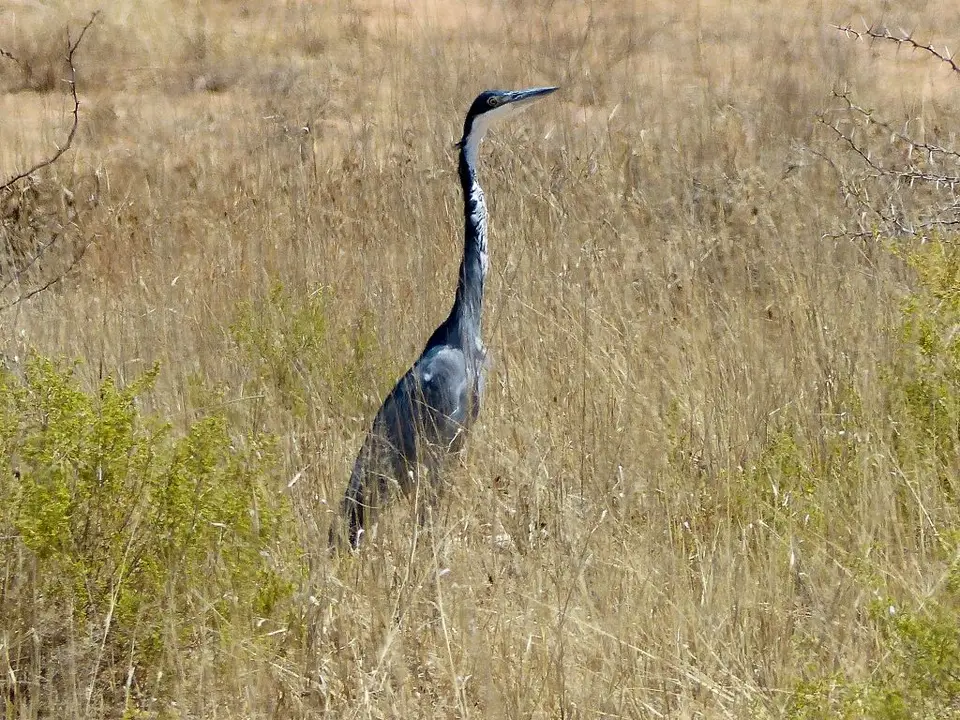h25f0182.jpg