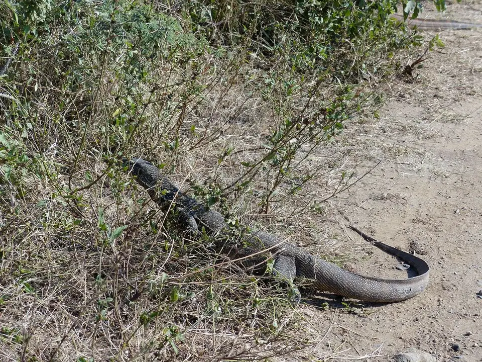 h313870f.jpg