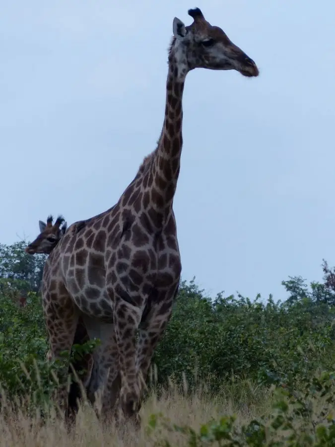 h332798f.jpg