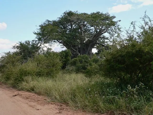 h36772c3.jpg