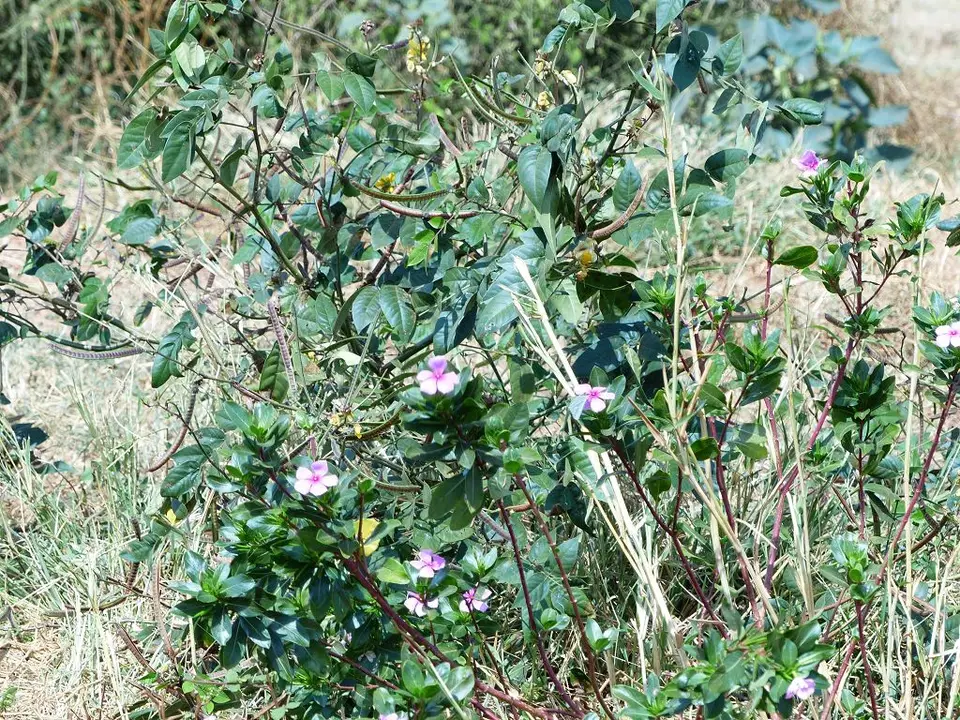 h605ddb8.jpg