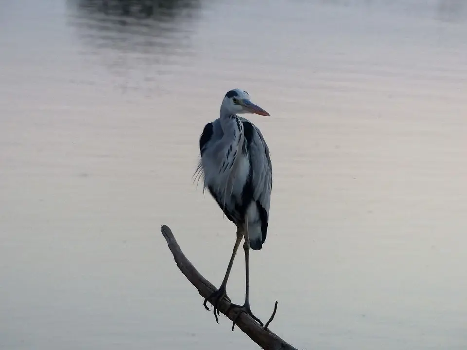 h6e54df7.jpg