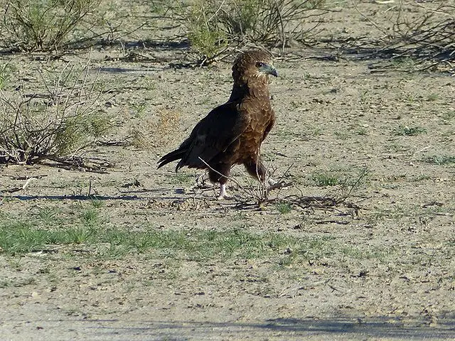 h729f189_2014-10-20.jpg
