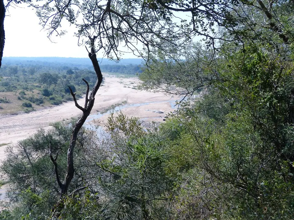 h7547087.jpg