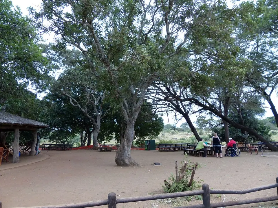 h9c92049.jpg