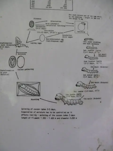 ha05b203.JPG