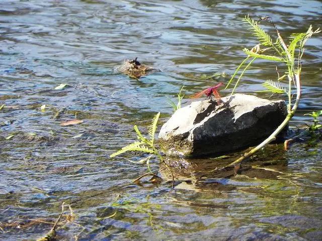 hc23aa18.jpg