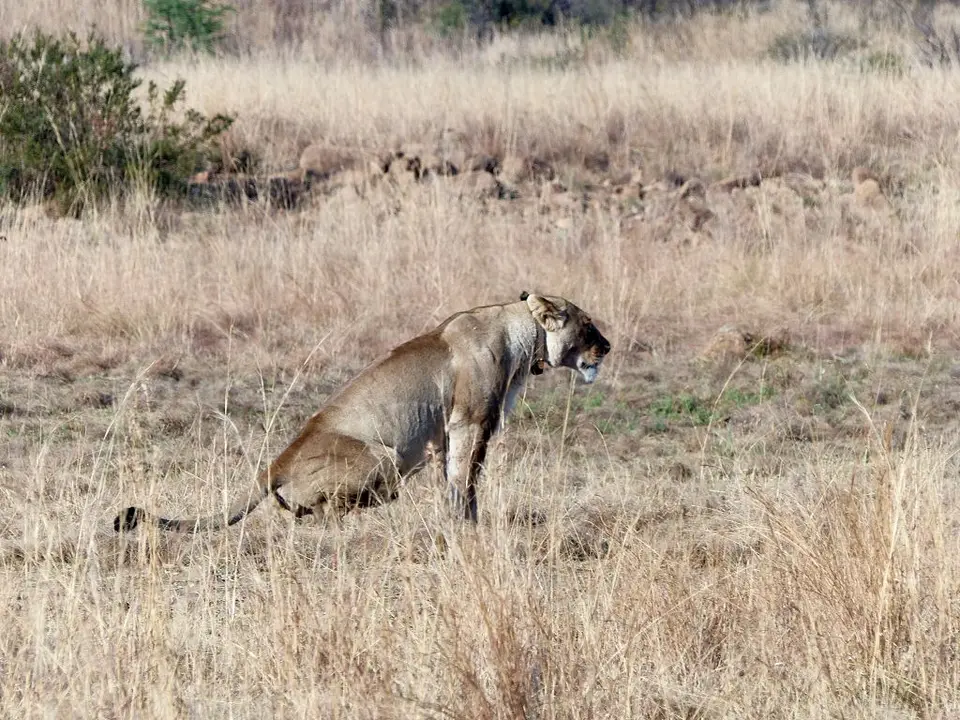 hc6813eb.jpg