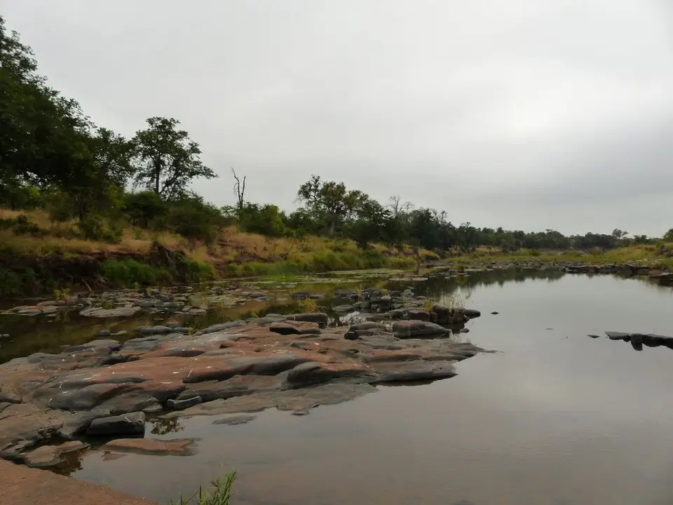 hc9c0093.jpg