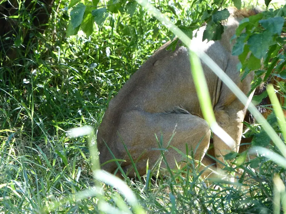 hcf335c7.jpg