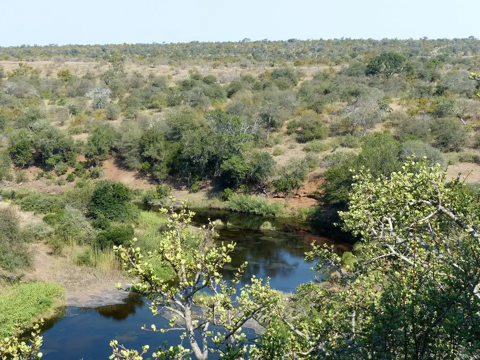 hd7a11a6.jpg