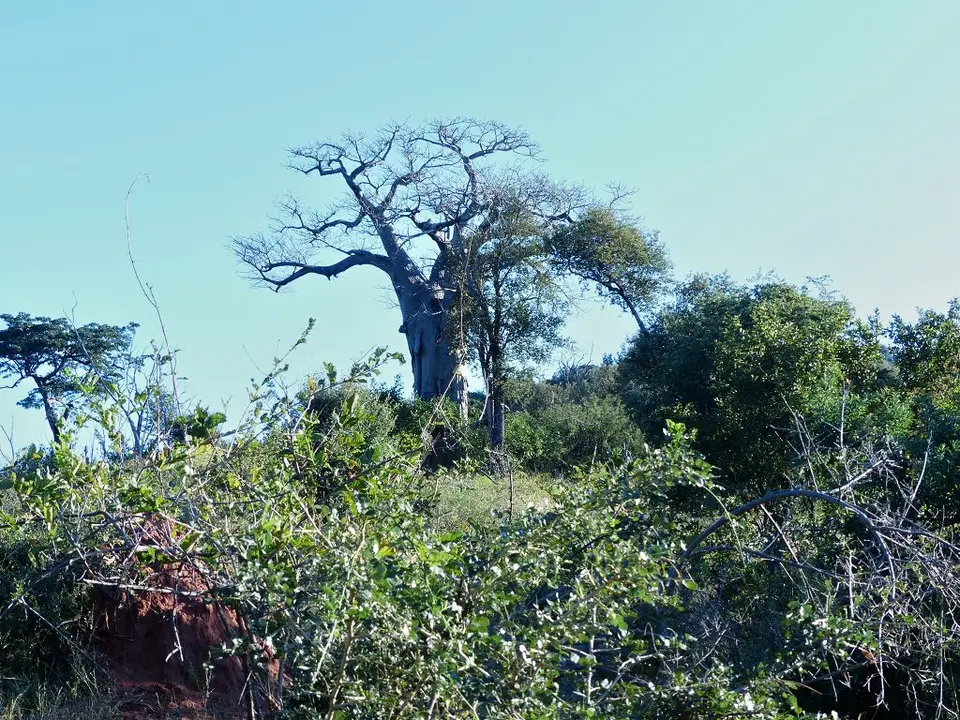 hf246f6d.jpg