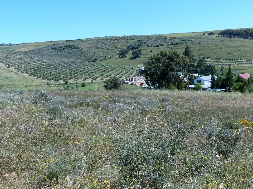 hf799409.jpg