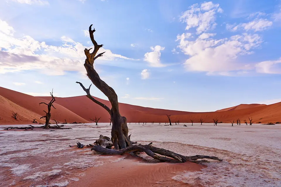 SA705910.jpg