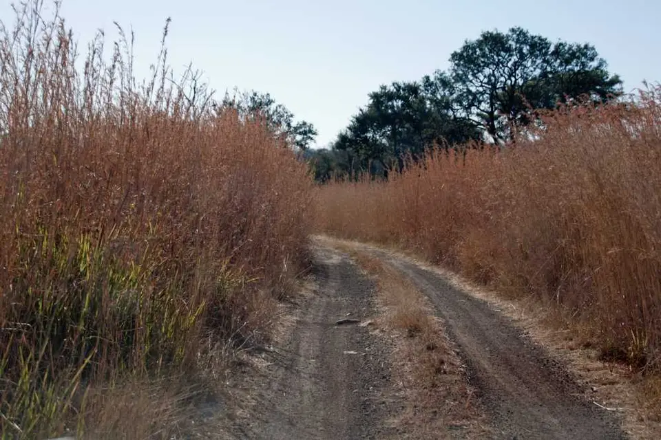 Botswana2011-1266.jpg