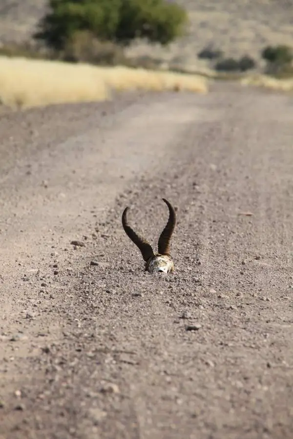 Namibia2010144.JPG