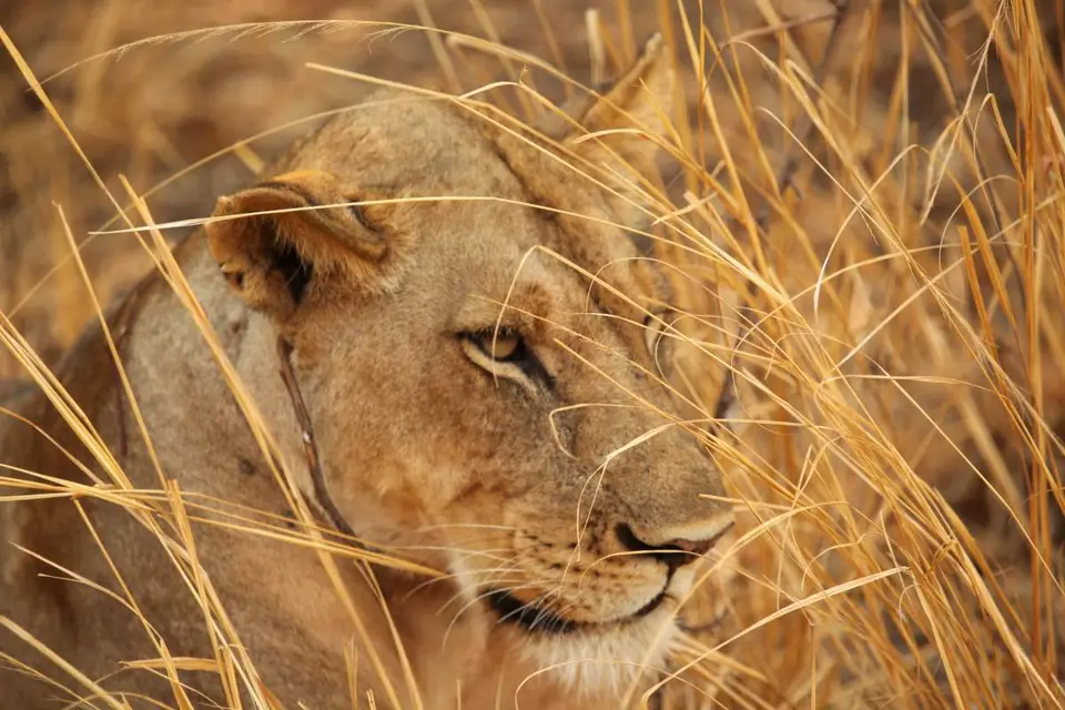 Afrika2011a247.JPG