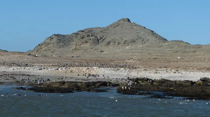 k-NamFotos8052.JPG