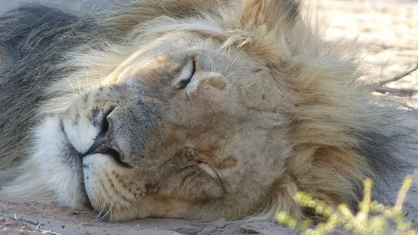 k-NamibiaFotos6018.JPG