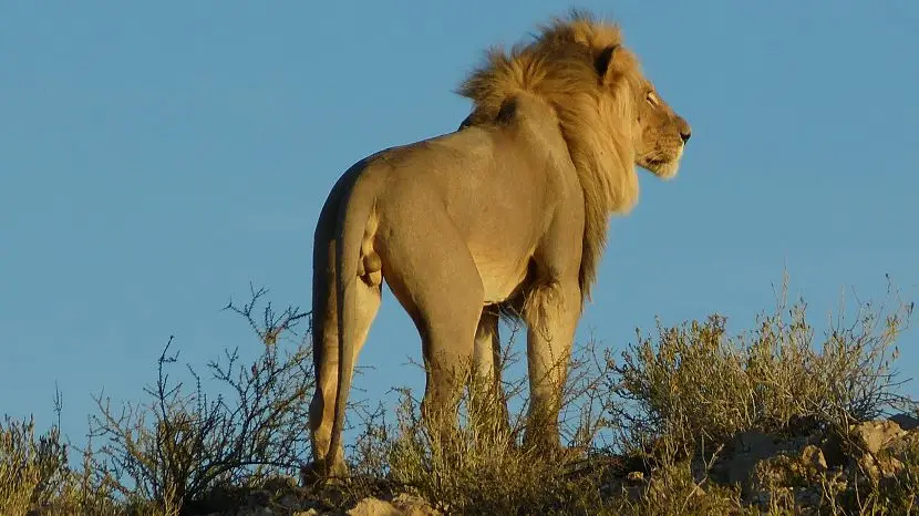 k-NamibiaFotos6055_Kopie.JPG