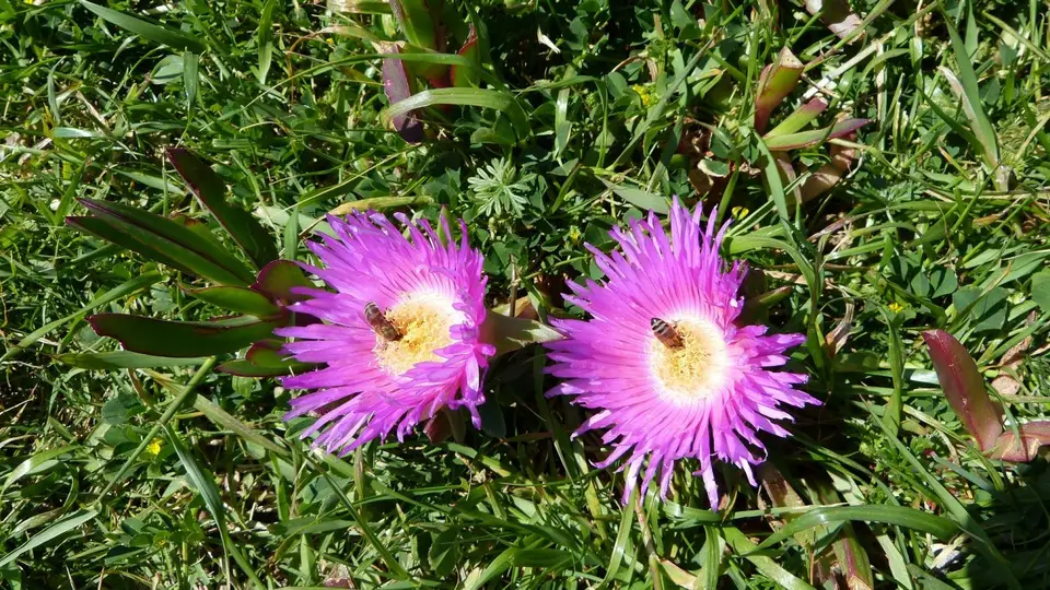 k-P1120346.JPG