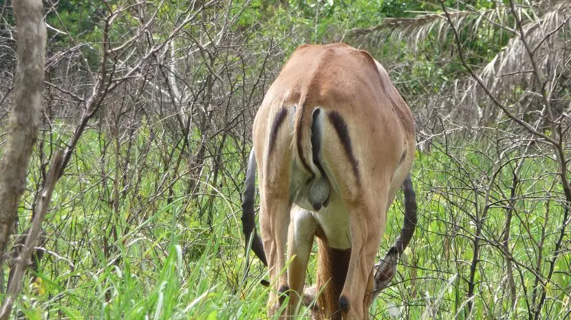 k-P1160243.JPG