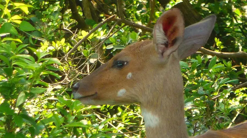 k-P1160252.JPG