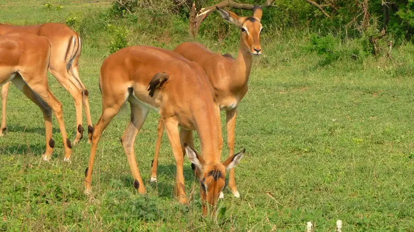 k-P1160425_2012-10-29.JPG