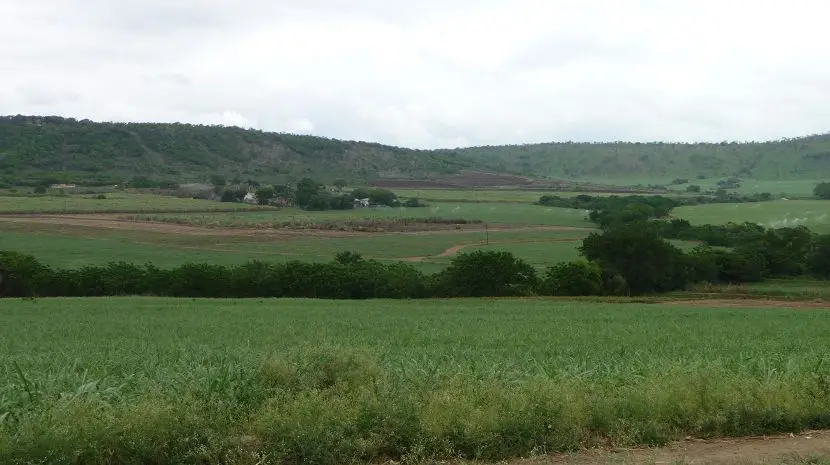 k-P1160617.JPG