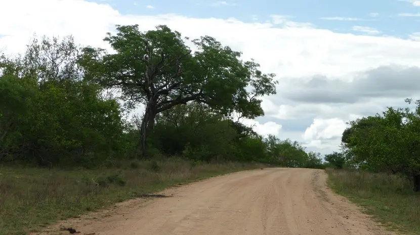 k-P1160742.JPG