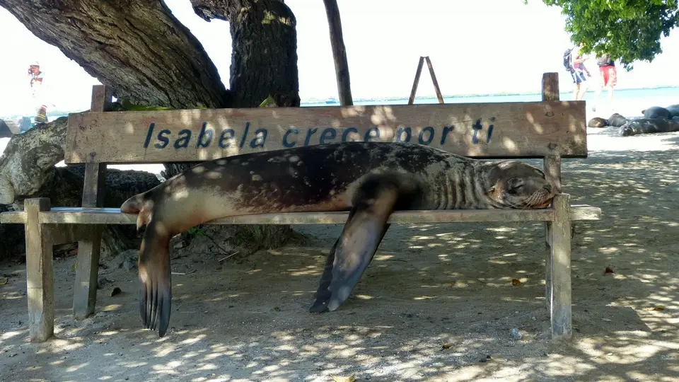 k-P1230876.JPG