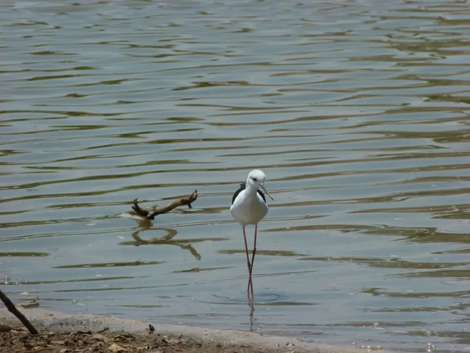 P1020469.JPG