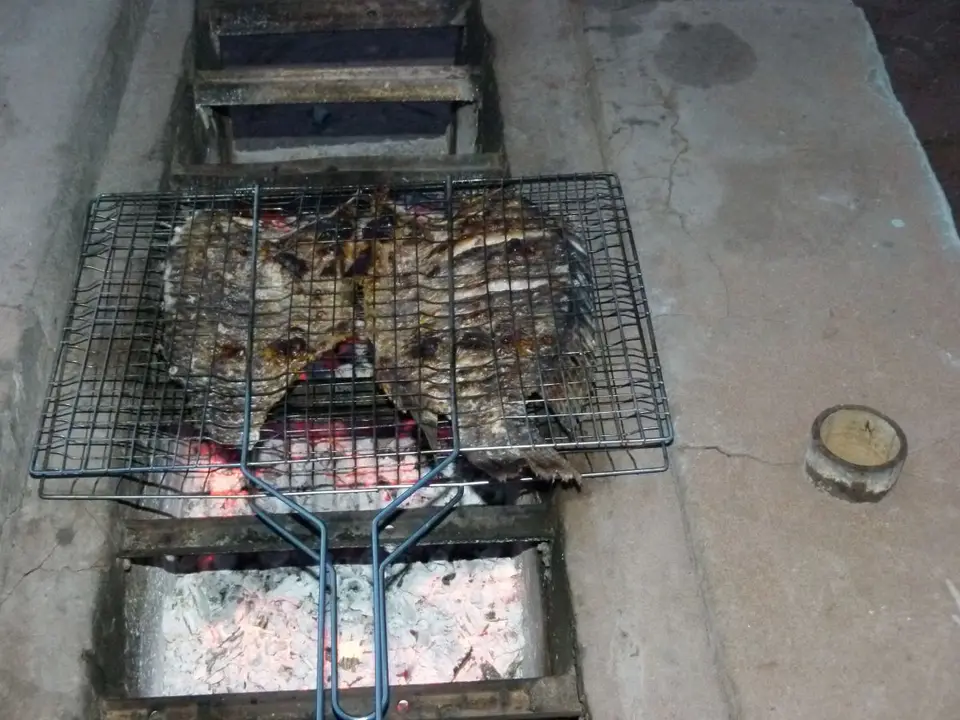 P1020560.JPG