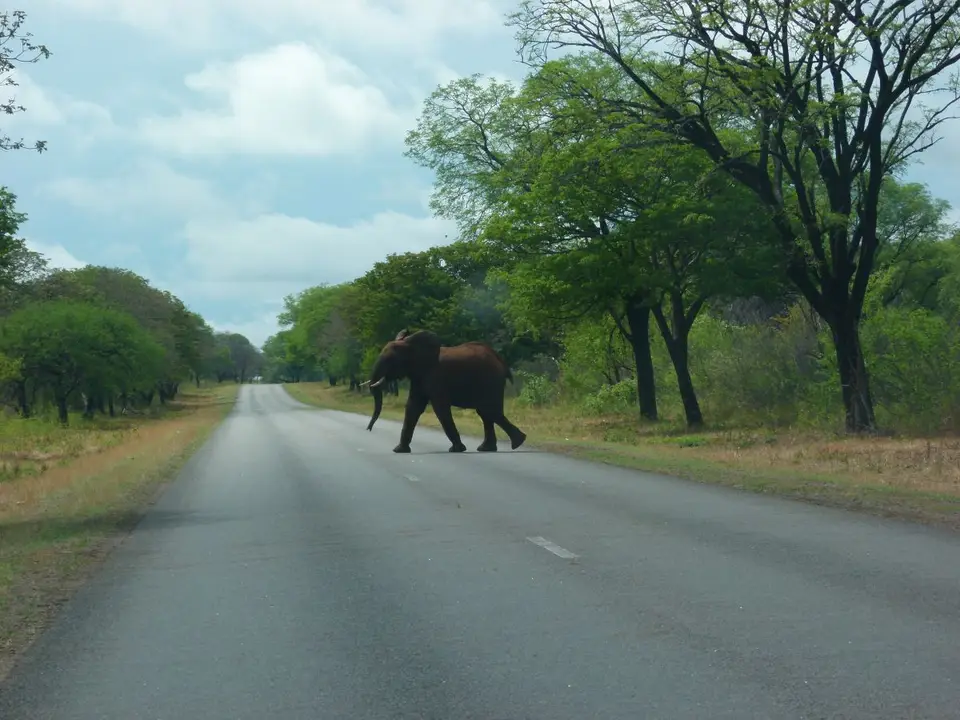 P1020581.JPG