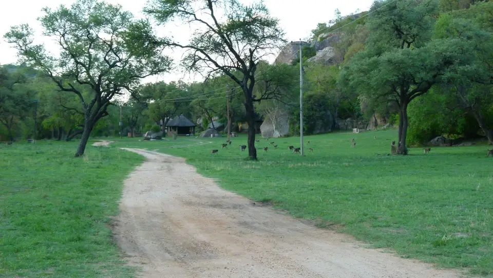 h2ef0370.JPG