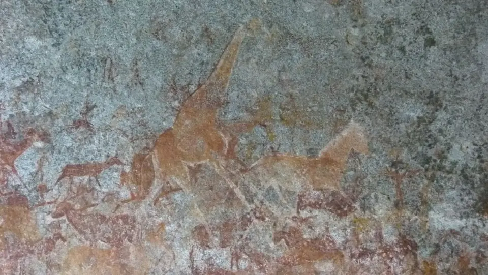 h5320c94.JPG