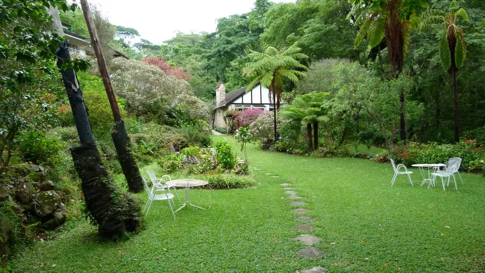 hd210a29.JPG