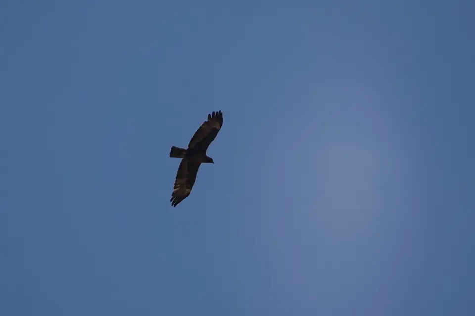 DSC00749.jpg
