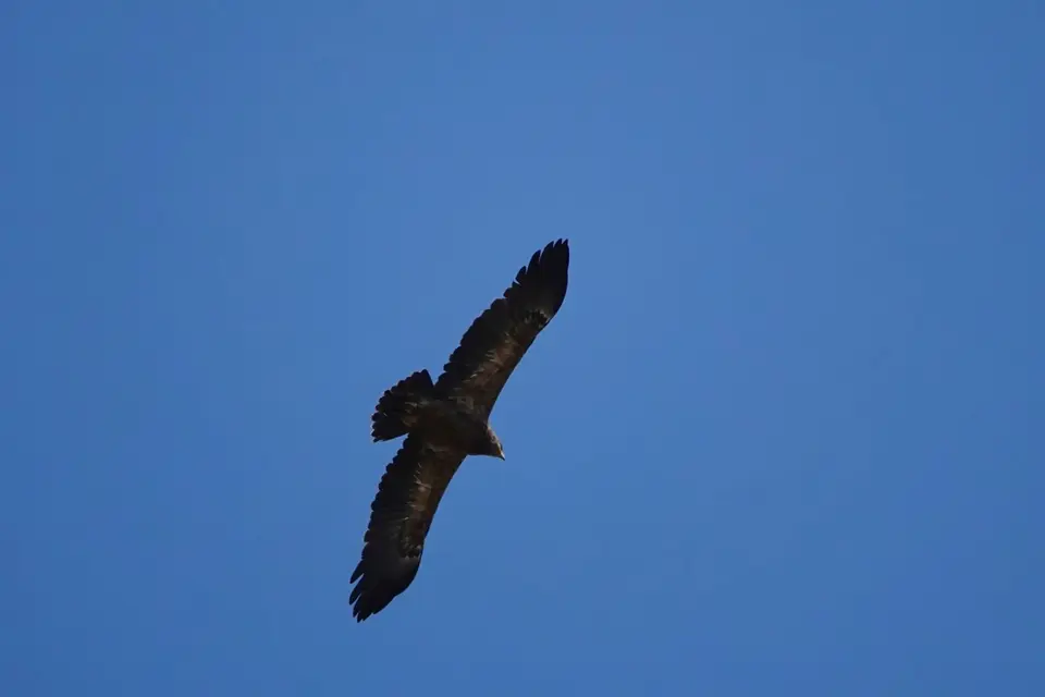 DSC00917.jpg
