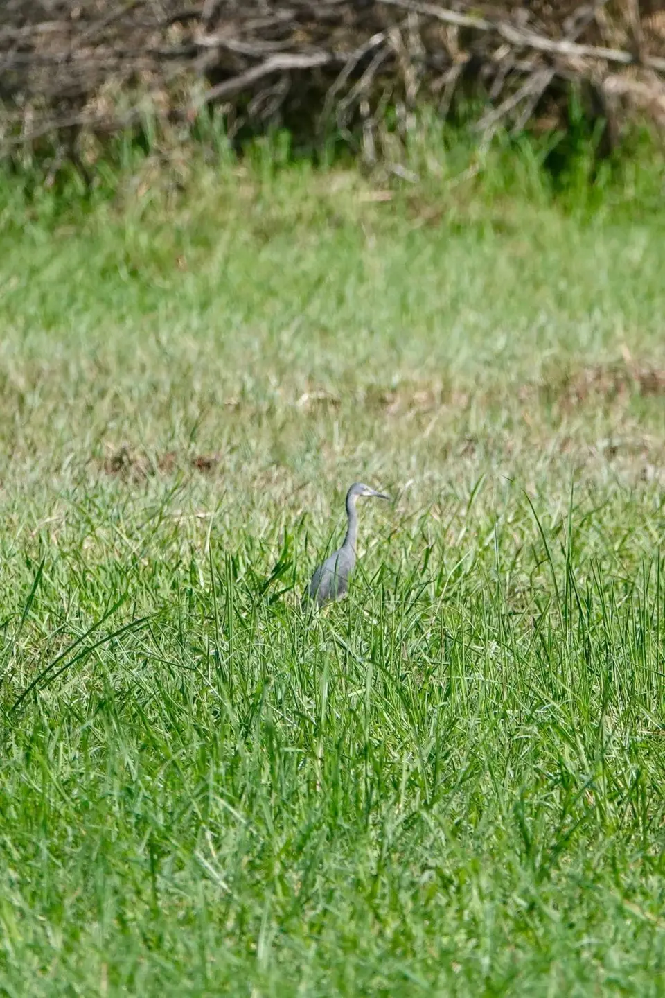 DSC01110.jpg