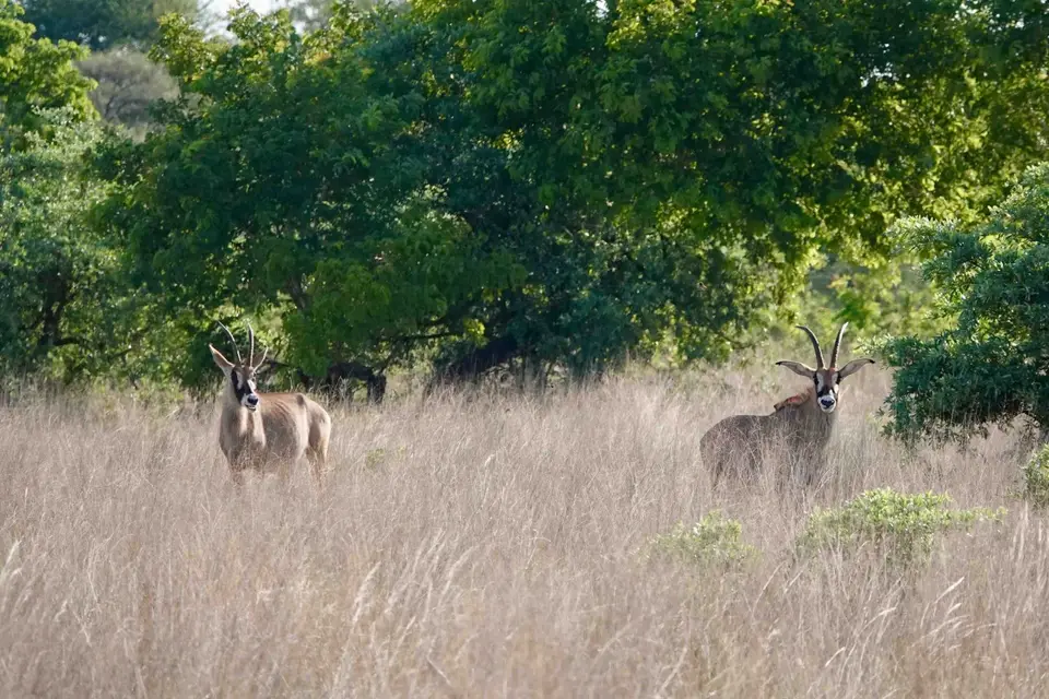 DSC01204.jpg