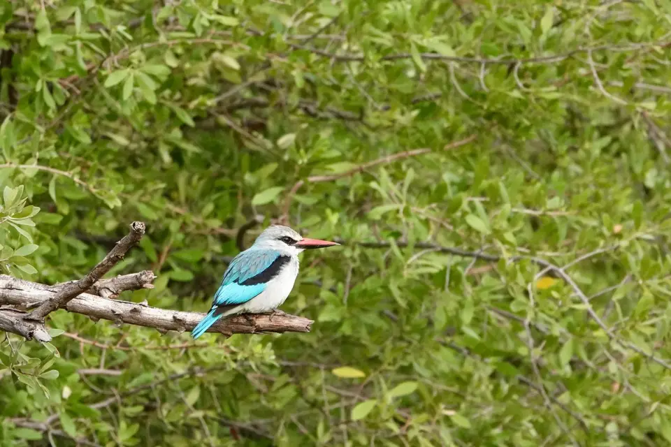 DSC01655.jpg