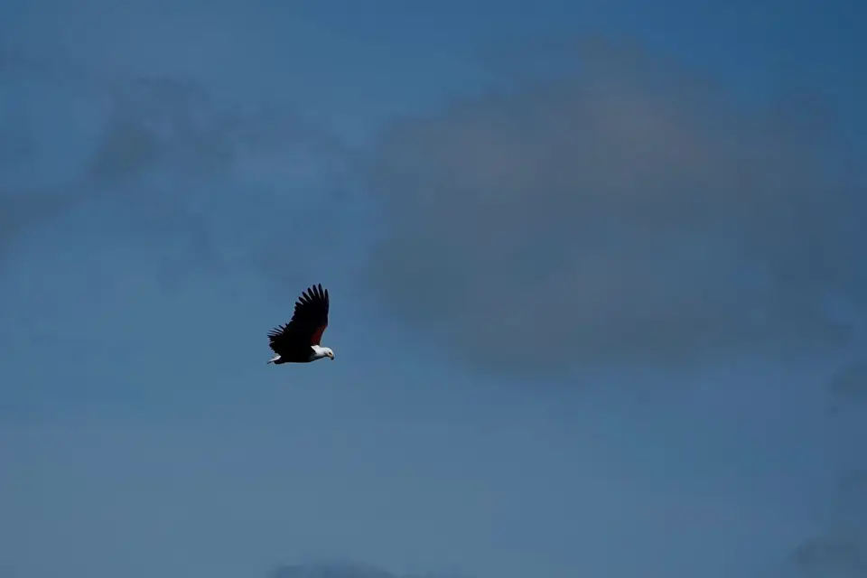 DSC02239.jpg