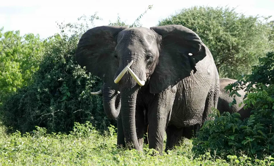 DSC02367.jpg