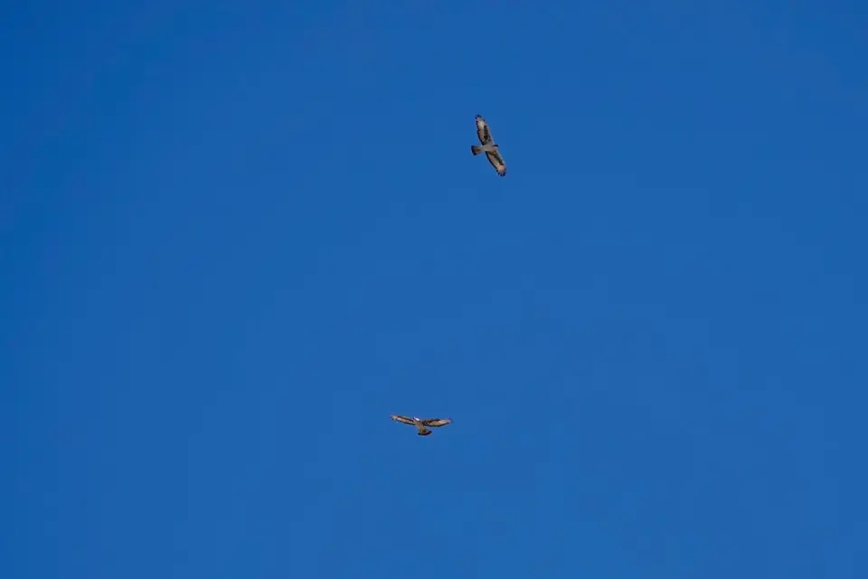 DSC03129.jpg