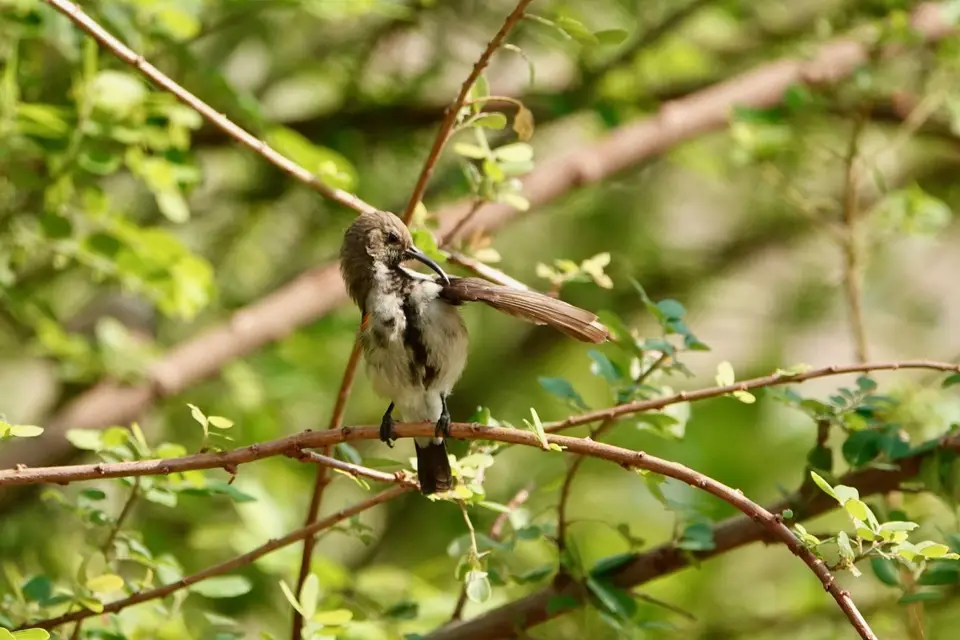 DSC05533.jpg