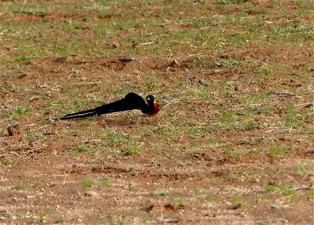 P1120359.jpg