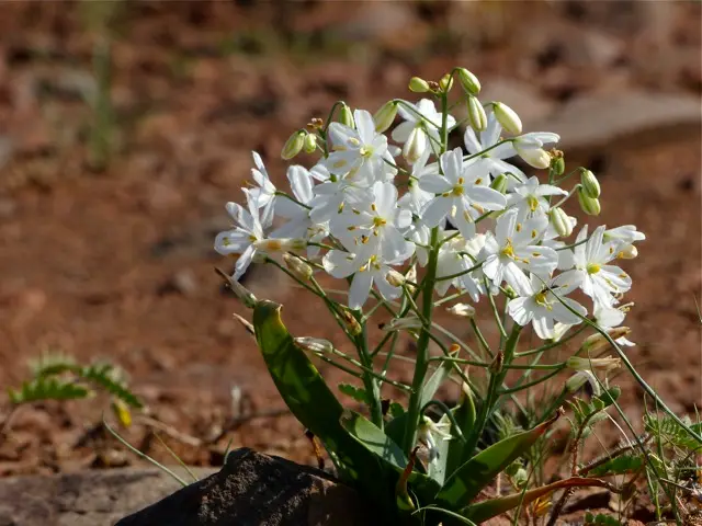 P1120417-2.jpg